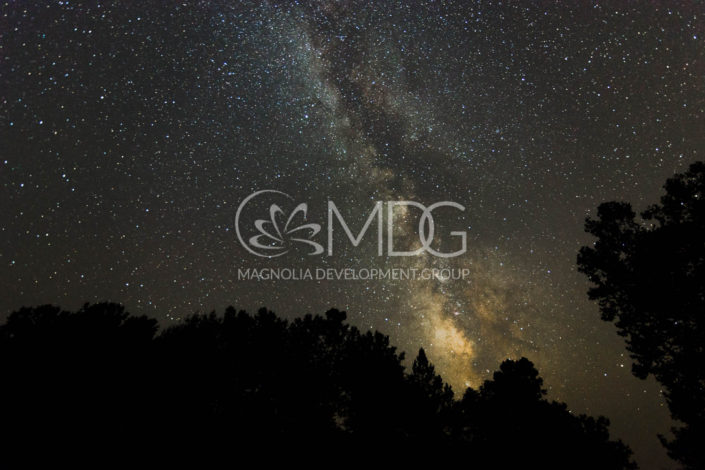 Professional photography | MDG