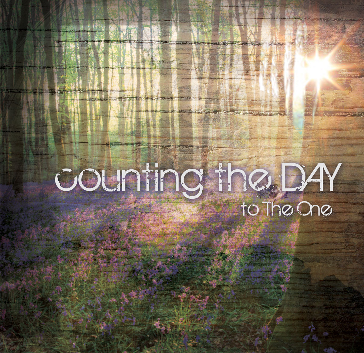 Counting the Day To the One CD Design | MDG Marketing Firm | Covington, Louisiana